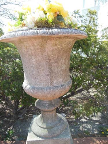 Garden Urn, cast stone 53 1/2 tall. SOLD