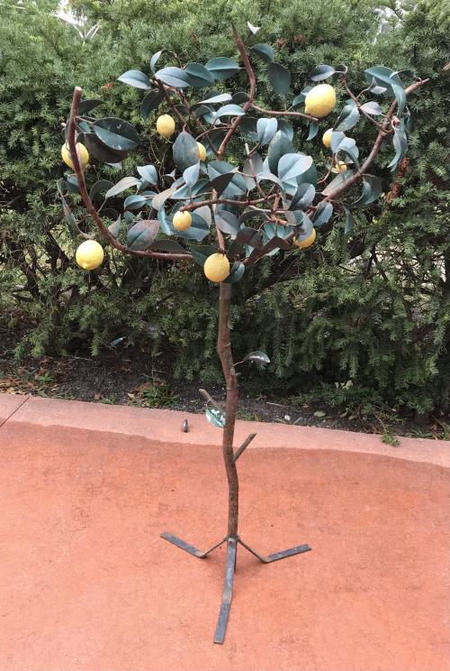 Vintage Lemon Tree