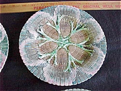 Majolica 8 Inch Shell & Seaweed Plate